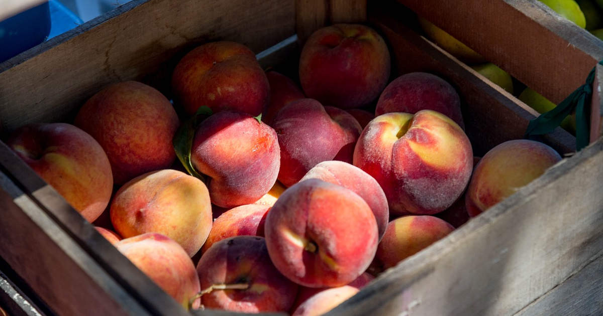 One Peach, a Thousand Peaches — Bellamarc